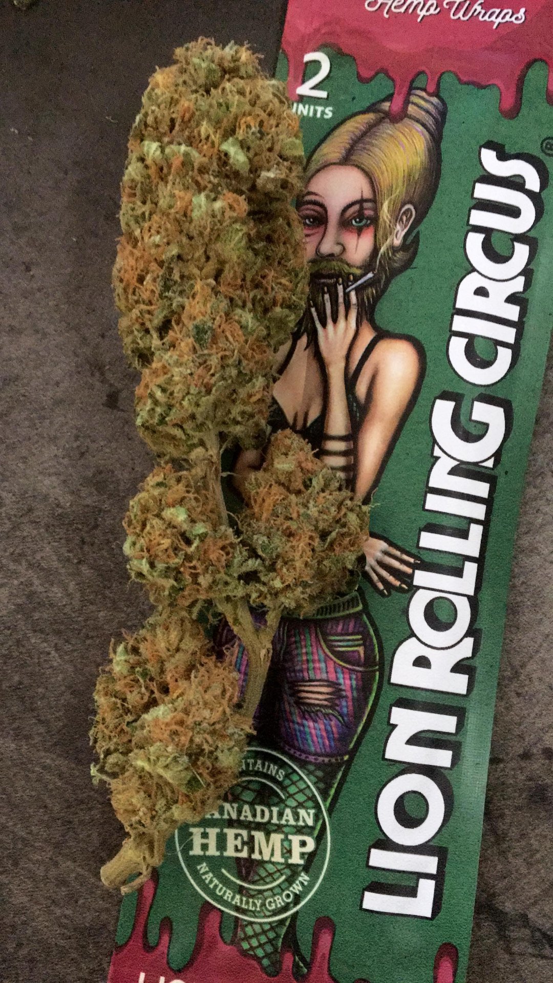 Cima reale di OG Kush: fiore compatto verde intenso
