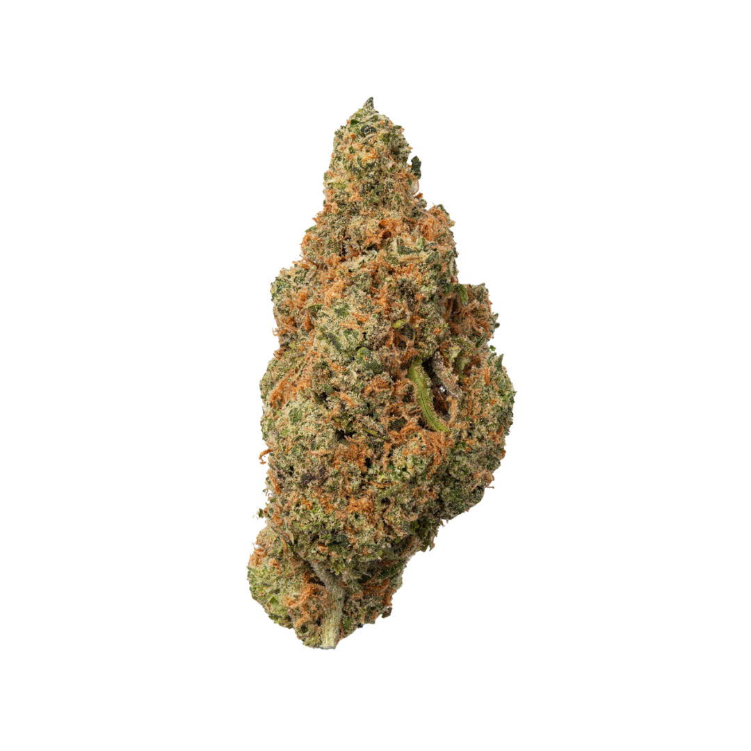 Jack Herer